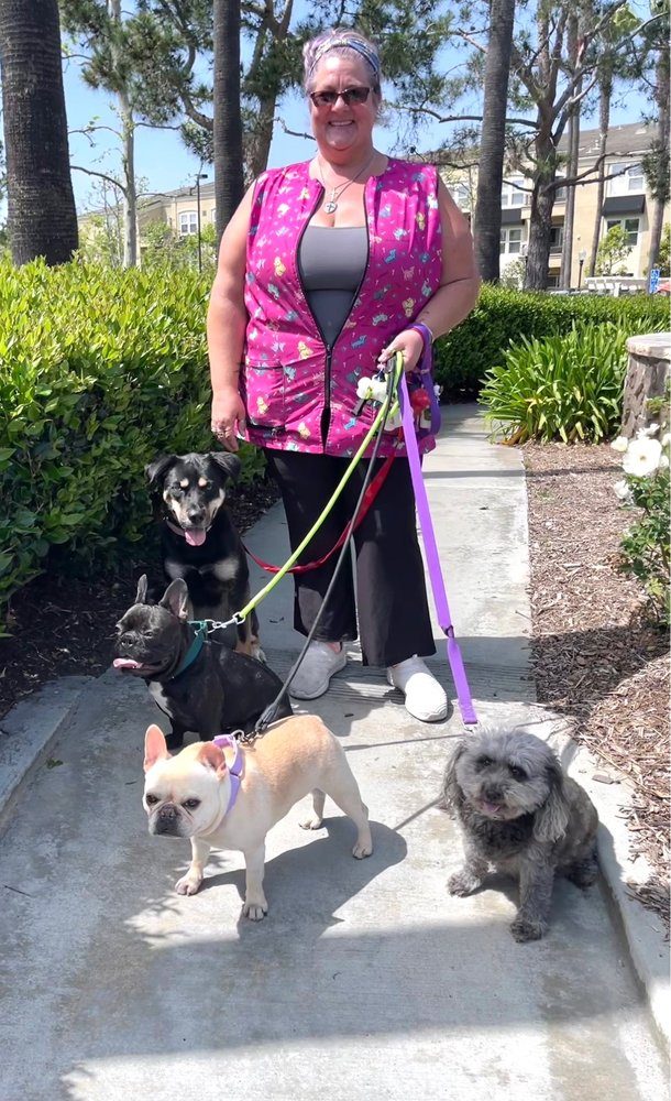 Naomi handling four leashed dogs with ease on a group walk